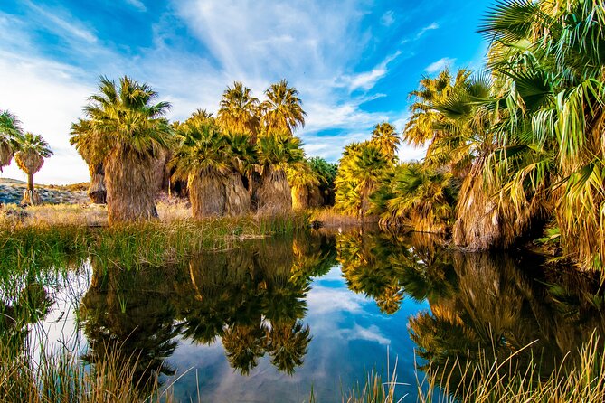 Palm Springs Self-Guided Driving Audio Tour - Privacy Reminder