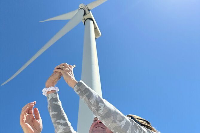 Palm Springs Windmill Guided Tour by Golf Cart - Key Points