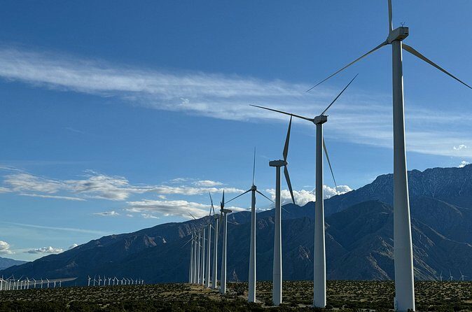 Palm Springs Windmill Guided Tour by Golf Cart - Who Should Consider This Tour?