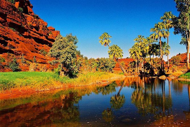 Palm Valley 4WD Day Tour - Itinerary Highlights