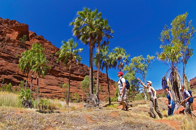 Palm Valley 4WD Tour From Alice Springs - Itinerary and Activities