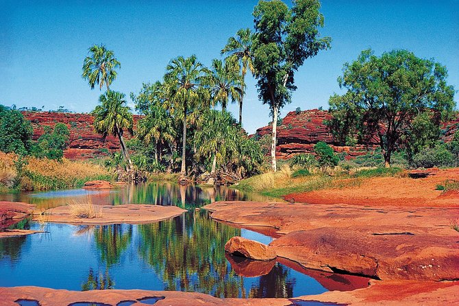Palm Valley 4WD Tour From Alice Springs - Additional Information