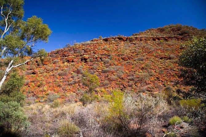 Palm Valley 4WD Tour From Alice Springs - Discovering Hermannsburg Aboriginal Community