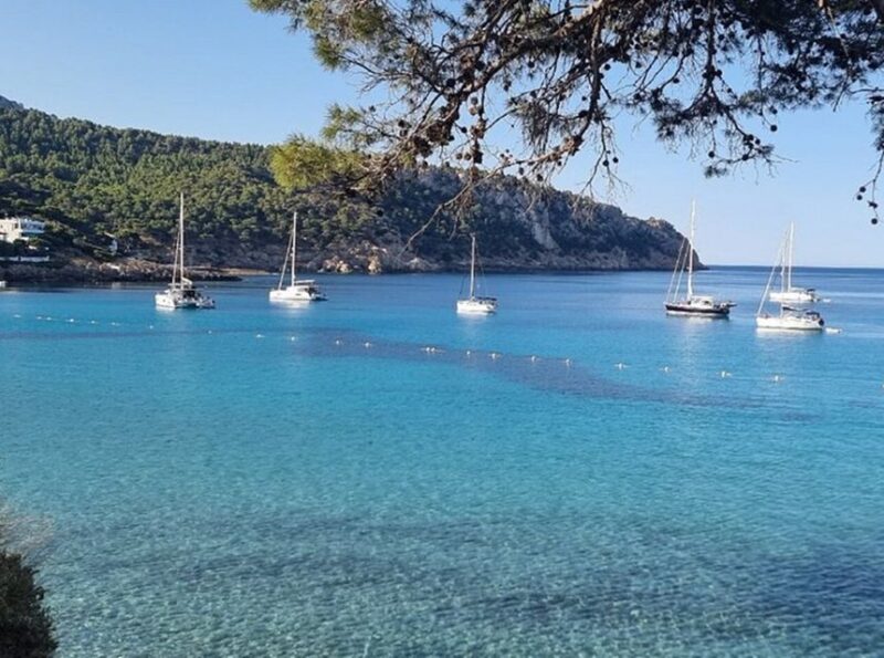 Palma: 2-Hour Sunset Catamaran Cruise With Drinks - Highlights