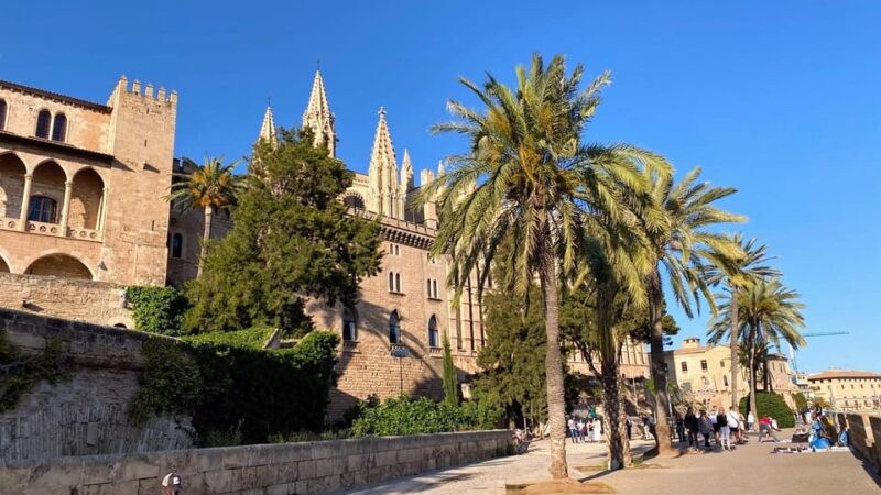 Palma: Alleys of Old Town Self-guided Explorer Walk - Tour Features