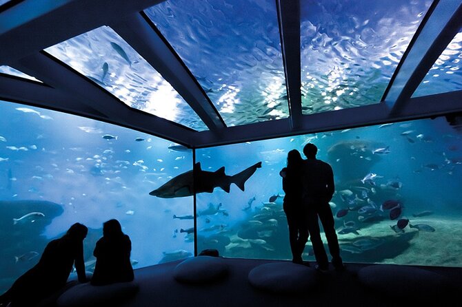 Palma Aquarium Ticket - Key Points