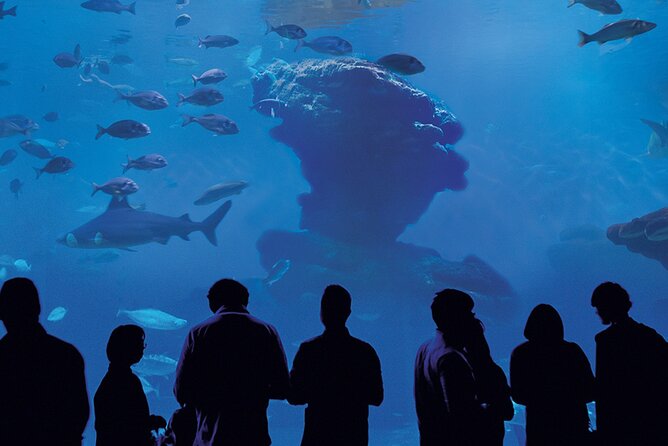 Palma Aquarium Ticket - Accessibility and Additional Details