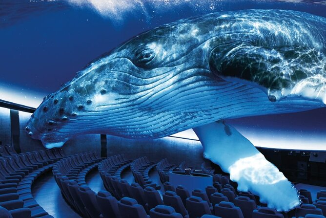 Palma Aquarium Ticket - Cancellation Policy