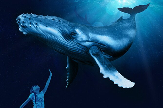 Palma Aquarium Ticket - Visitors Experiences