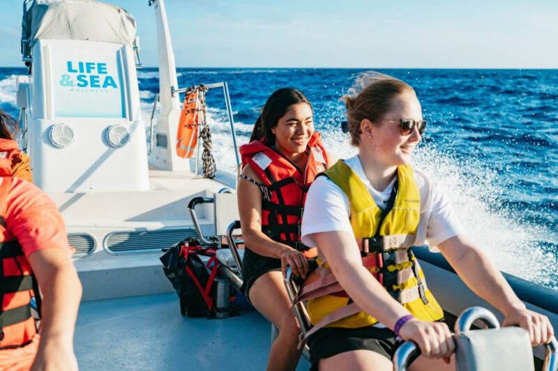 Palma Bay: 1-Hour Speedboat Adventure - Key Points
