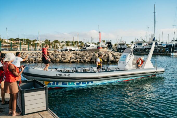 Palma Bay: 1-Hour Speedboat Adventure - Participants and Restrictions