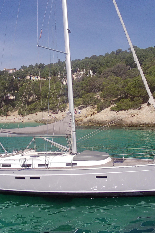 PALMA BAY : 4 HOUR PRIVATE TOUR WITH SAILING BOAT - Experience Highlights