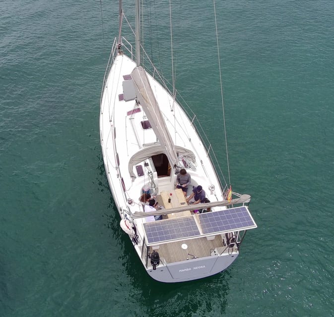 PALMA BAY : 4 HOUR PRIVATE TOUR WITH SAILING BOAT - Experience Highlights