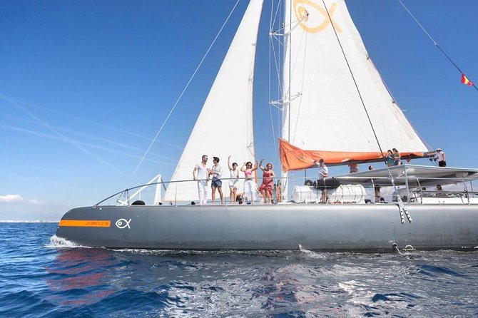 Palma Bay Catamaran Half-Day Cruise - Experience Highlights