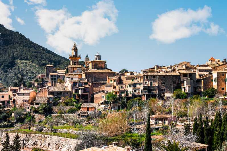 Palma, Cathedral & Valldemossa: Guided Walking Tour - Inclusions and Exclusions