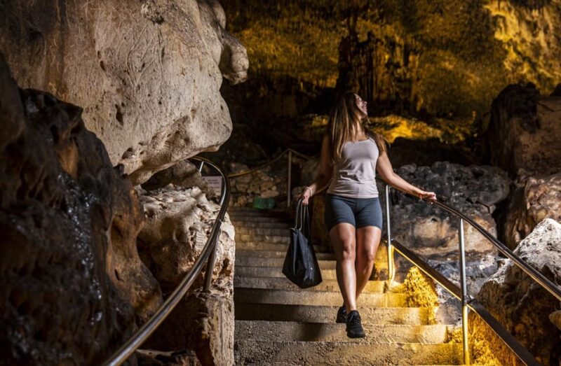Palma: Caves of Drach Entrance, Music Concert, and Boat Trip - Live Classical Music Concert