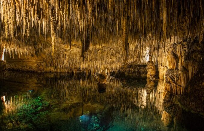 Palma: Caves of Drach Entrance, Music Concert, and Boat Trip - Inclusions and Exclusions