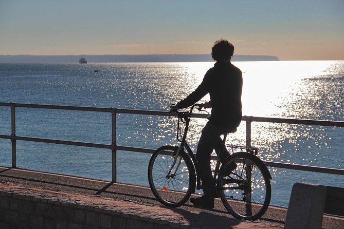Palma De Mallorca 3-Hour Highlights and Tapas Tasting Bike Tour - Tour Schedule and Logistics