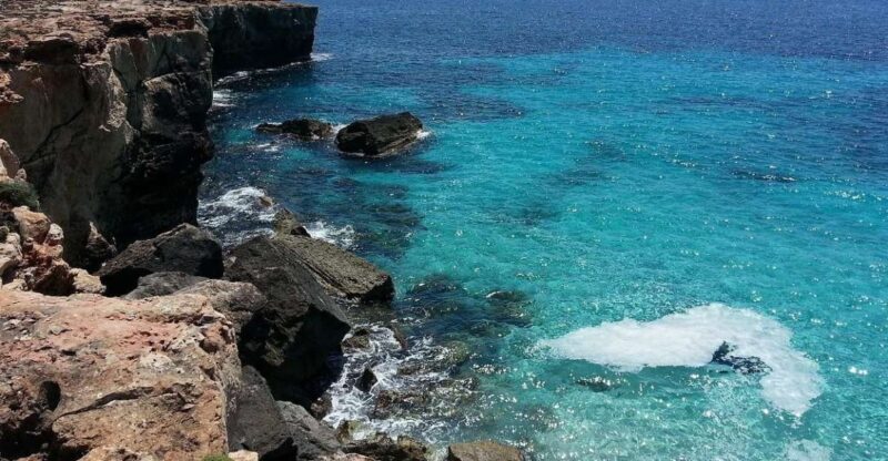 Palma De Mallorca and Valldemossa Private Tour - Discovering Valldemossa