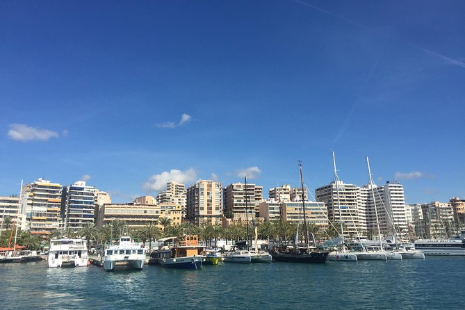 Palma De Mallorca Bay Boat Trip - Accessibility and Participation
