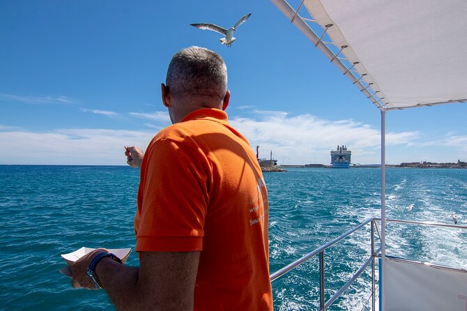 Palma De Mallorca Bay Boat Trip - Customer Reviews and Ratings