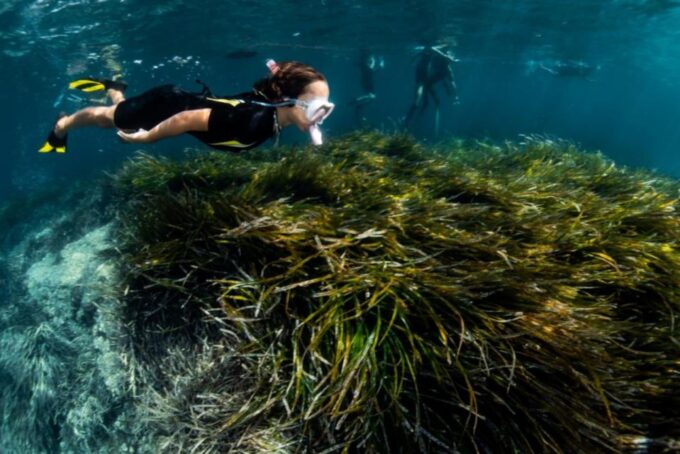 Palma De Mallorca: Cala Vella Snorkeling Adventure - Weather Policy and Activity Adjustments