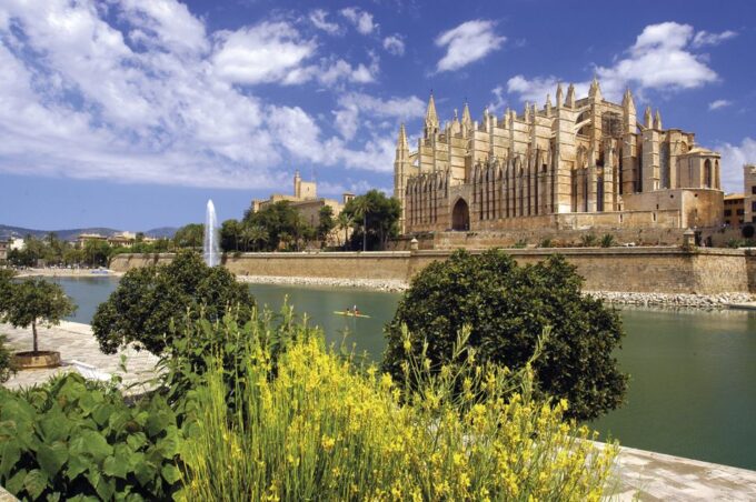 Palma De Mallorca: City Walking Tour With the Cathedral - Feedback and Improvements