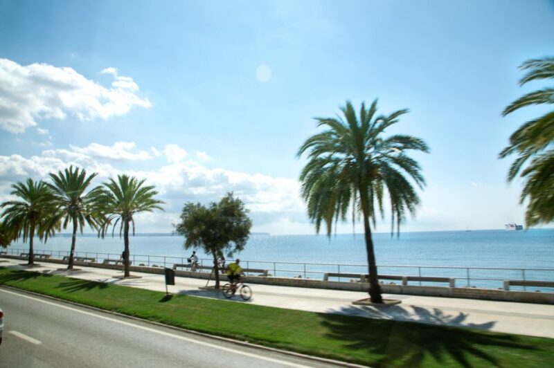 Palma De Mallorca: Full-Day Tour With Departure Options - Itinerary