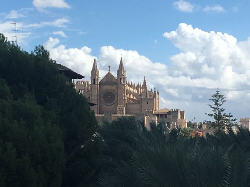 Palma De Mallorca: Guided Tour of the Old Town - Key Highlights