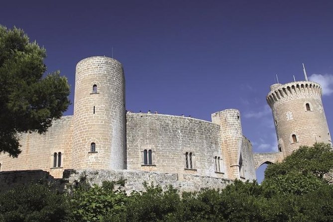Palma De Mallorca Guided Tour With Hotel Pick up - Exploring Palmas Landmarks