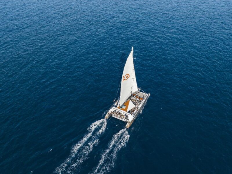 Palma De Mallorca: Half-Day Catamaran Tour With Buffet Meal - Sightseeing Highlights