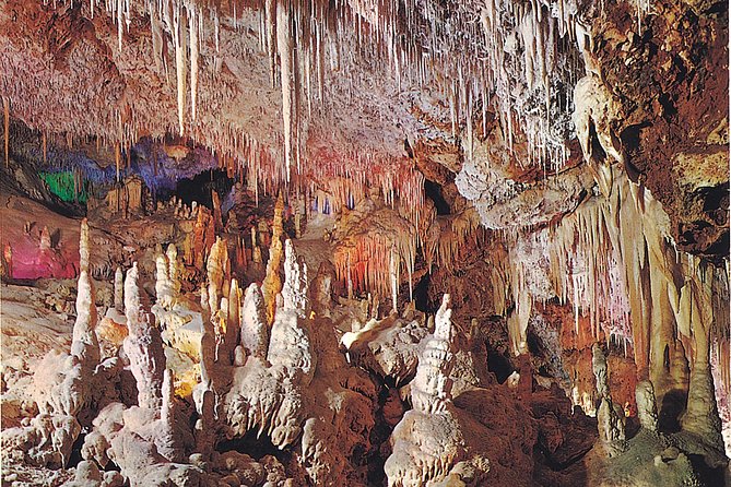 Palma De Mallorca Half-Day to Caves of Hams, Blue Cave and Film - Comparing Similar Tour Options