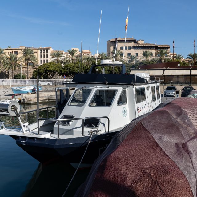 Palma De Mallorca: Local Fishing Activity - Essential Inclusions and Exclusions