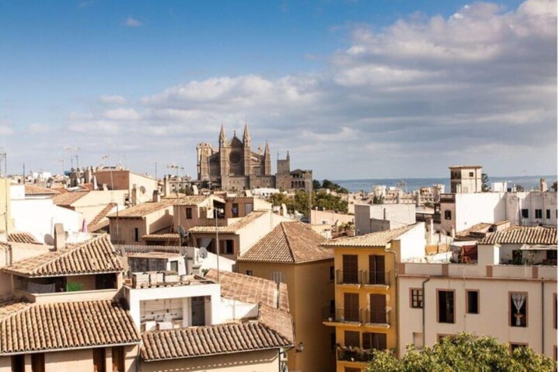 Palma De Mallorca : Must See Private Tour - Customer Feedback Highlights