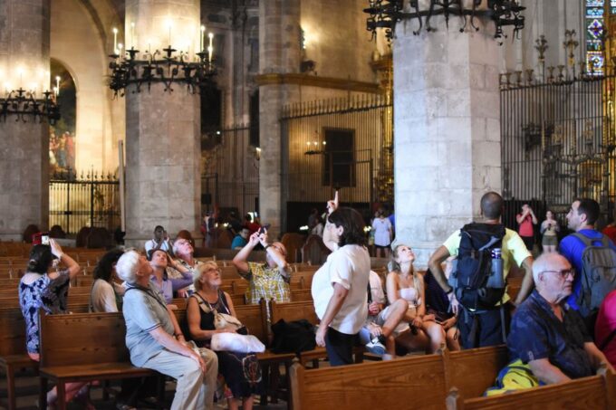 Palma De Mallorca: Old Town and Cathedral Tour - Accessibility Information