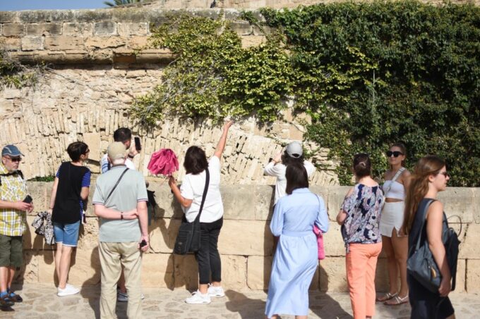 Palma De Mallorca: Old Town and Cathedral Tour - Improvement Suggestions