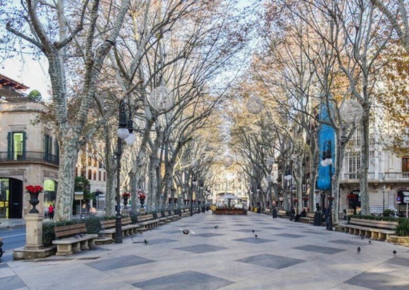 Palma De Mallorca: Old Town Guided Tour & Cathedral Visit - Hotel Pickup