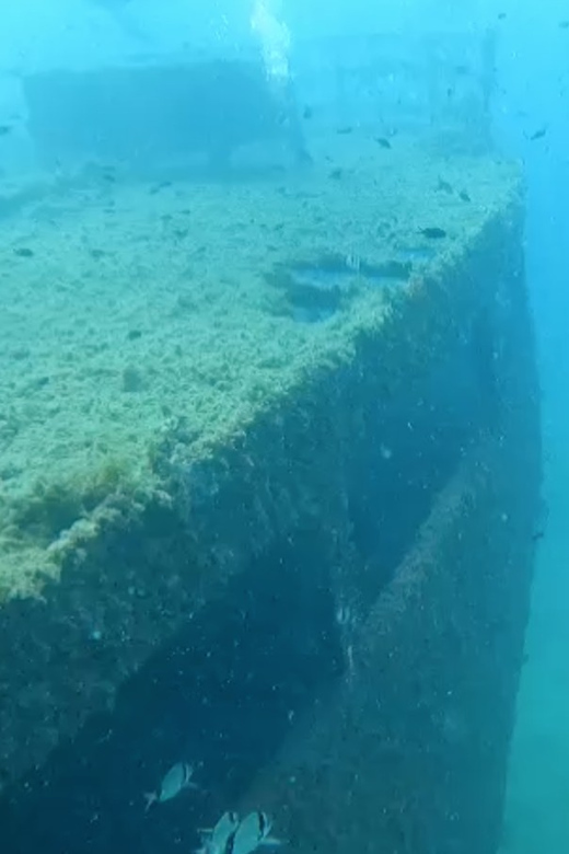 Palma De Mallorca: PADI Open Water Diver Course - Key Points
