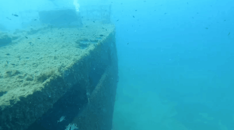 Palma De Mallorca: PADI Open Water Diver Course - Theoretical Options
