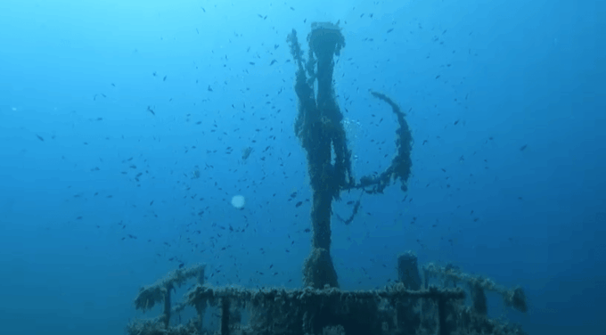 Palma De Mallorca: PADI Open Water Diver Course - PADI Qualification