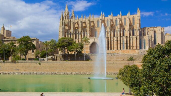 Palma De Mallorca: Private Walking Tour With a Local Guide - Discovering Main Sights