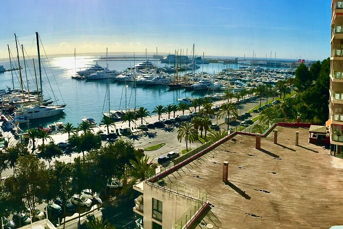 Palma De Mallorca Self-Guided Scavenger Hunt and Tour - Feedback and Ratings