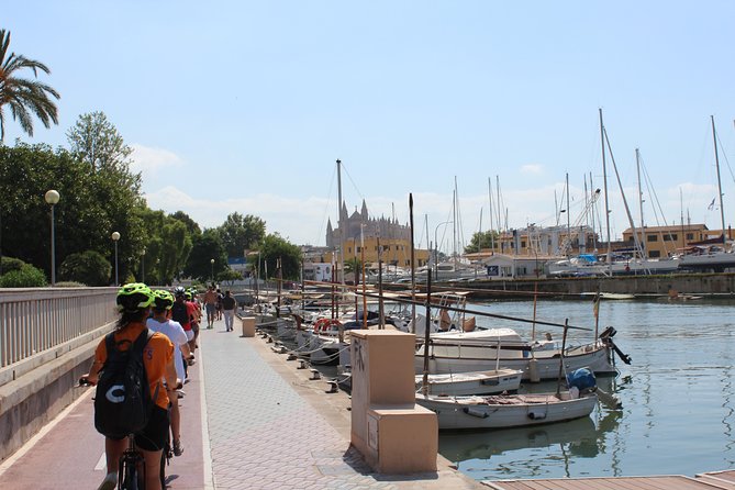 Palma De Mallorca Shore Excursion Bike Tour (Transfer Included) - Customer Reviews