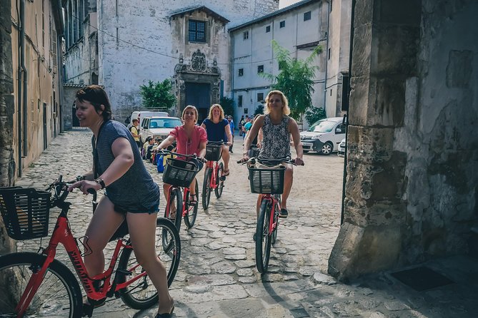 Palma De Mallorca Shore Excursion: Bike Tour With Cathedral and Parc De La Mar - Meeting Point and Return