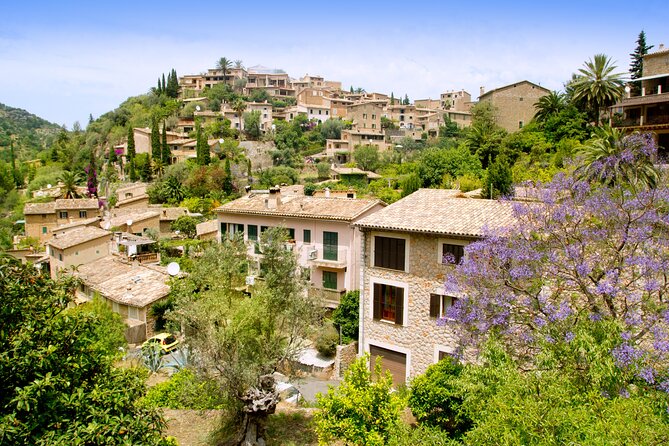 Palma De Mallorca Shore Excursion: Private Tour of Palma, Deia and Soller Valley - Charming Village of Deia