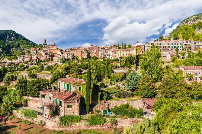 Palma De Mallorca Shore Excursion: Private Tour of Valldemossa, Soller and Serra De Tramuntana - Leisure Time in Port Soller