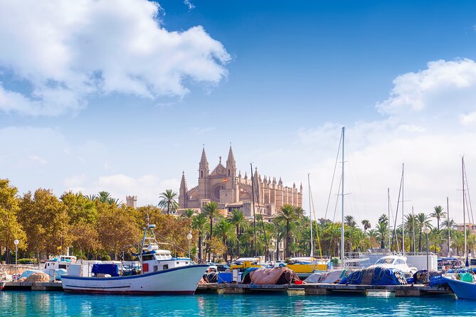 Palma De Mallorca Sightseeing Day Tour - Highlights and Inclusions