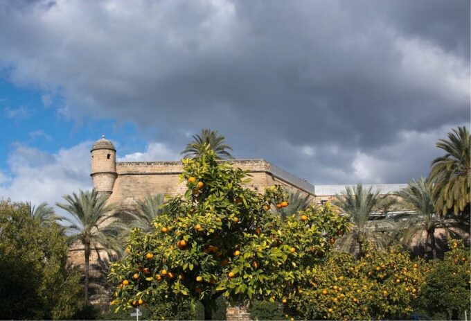 Palma De Mallorca: Small-Group Tour & Fast-Track Cathedral - Cultural Insights