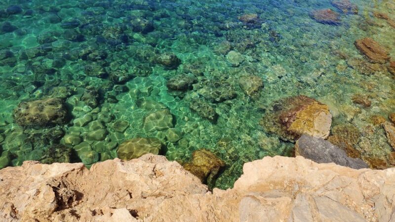 Palma De Mallorca: Smallgroup Tour by Locals in Hidden Coves - Local Insights