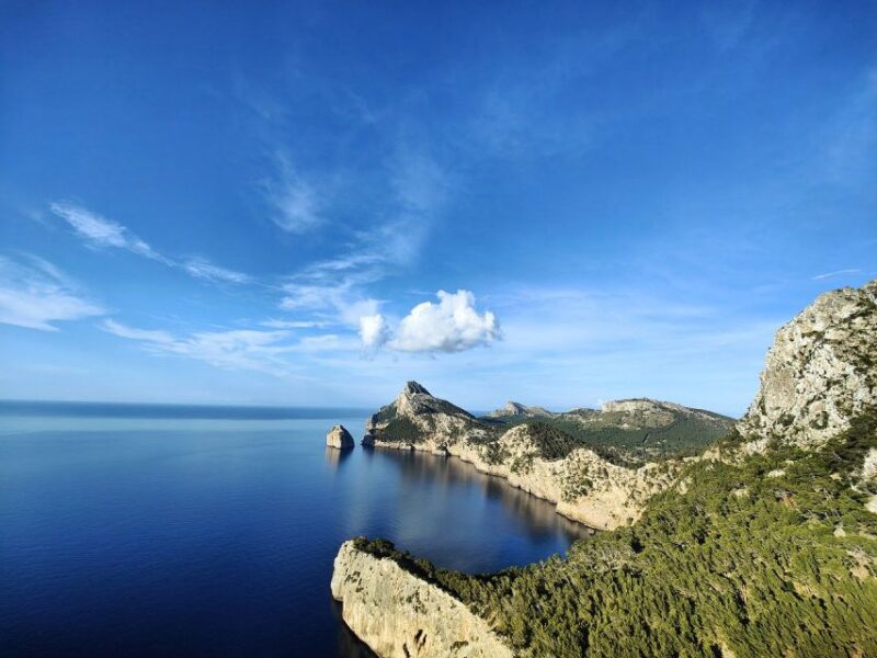 Palma De Mallorca: Son Juliana Wine Experience and Tasting - Key Points
